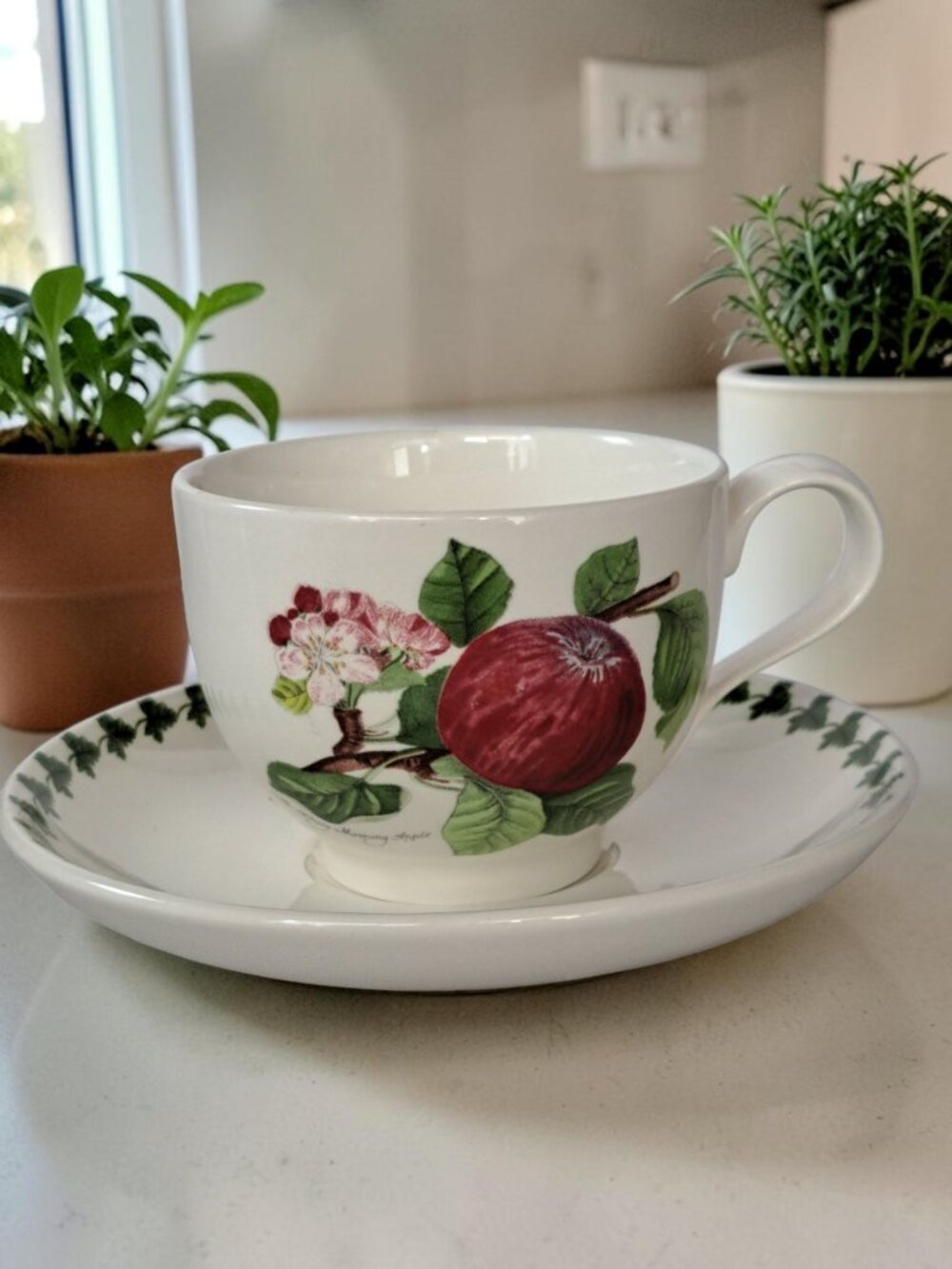 Portmeirion Pomona Traditional Hoary Morning Apple Cup And Saucer